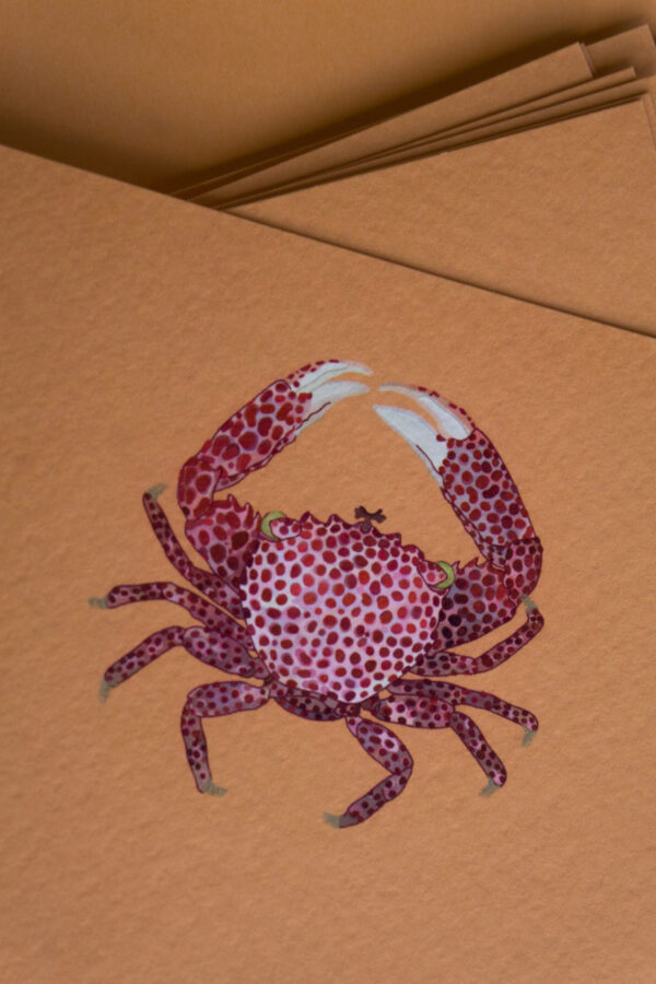 OH CRAB!